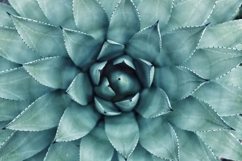 unsplash-image-aIYFR0vbADk unsplash-image-aIYFR0vbADk